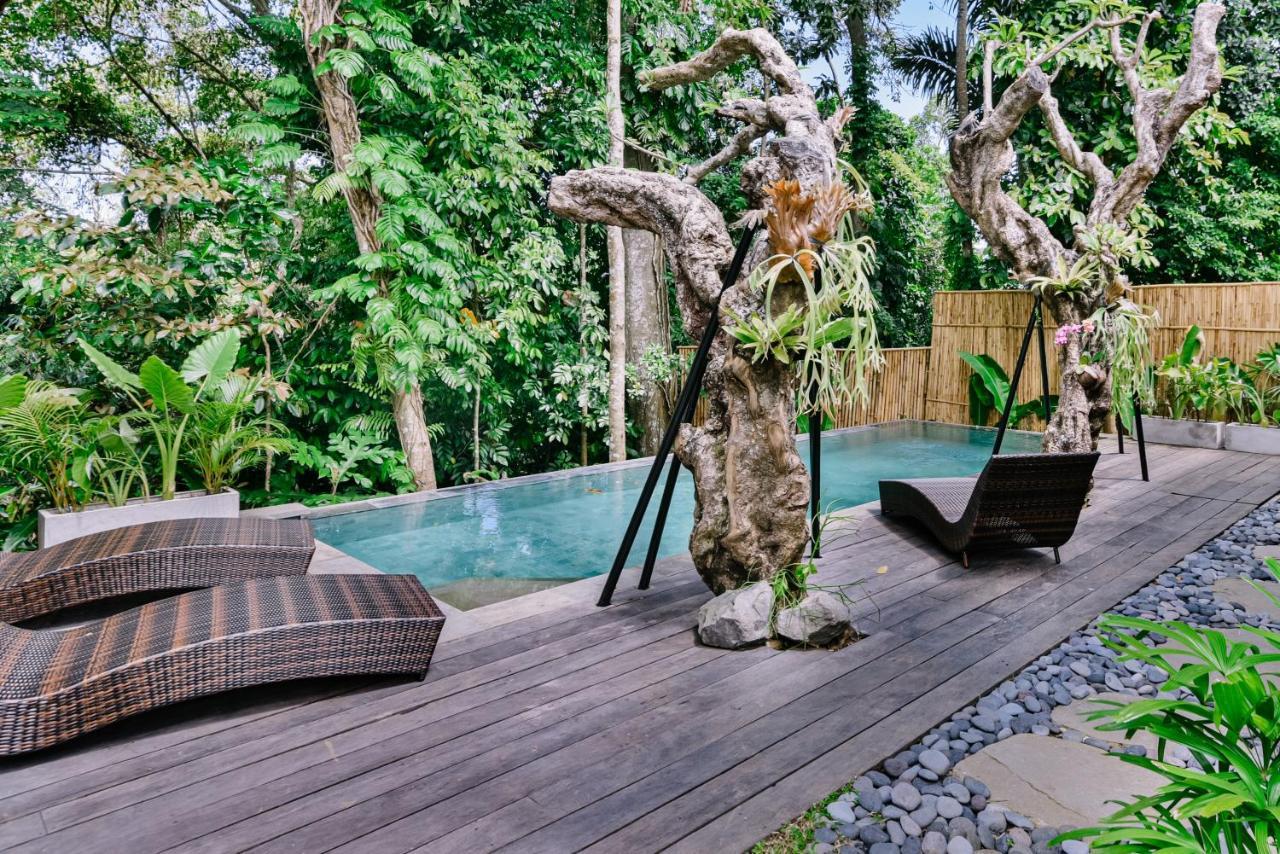 Gaya * Ubud